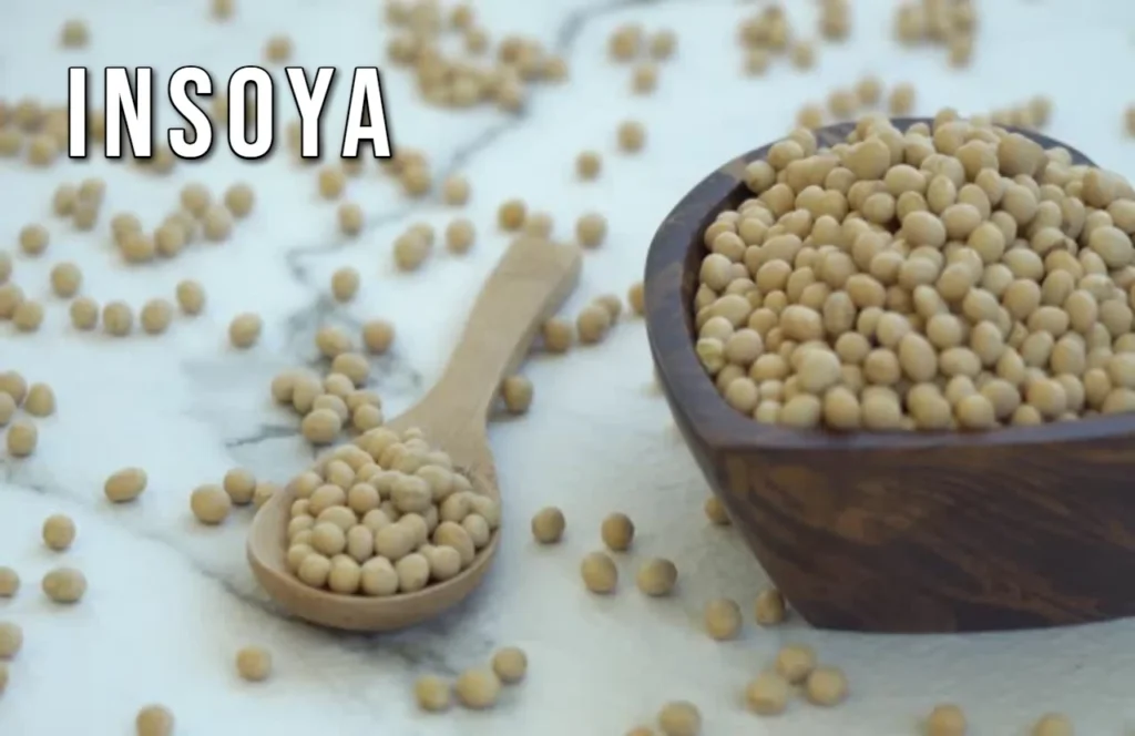 Insoya: A Modern Innovation Redefining Digital Growth and Connectivity