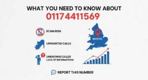 What You Need to Know About 01174411569